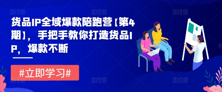 货品IP全域爆款陪跑营【第4期】，手把手教你打造货品IP，爆款不断-阳明聊项目