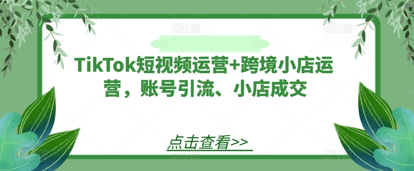 TikTok短视频运营+跨境小店运营，账号引流、小店成交-阳明聊项目