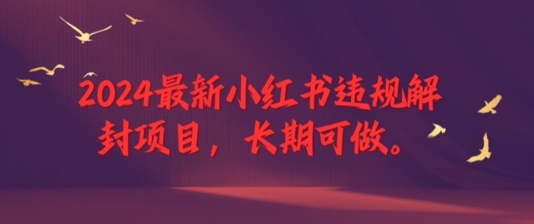 2024最新小红书违规解封项目，长期可做，一个可以做到退休的项目-阳明聊项目