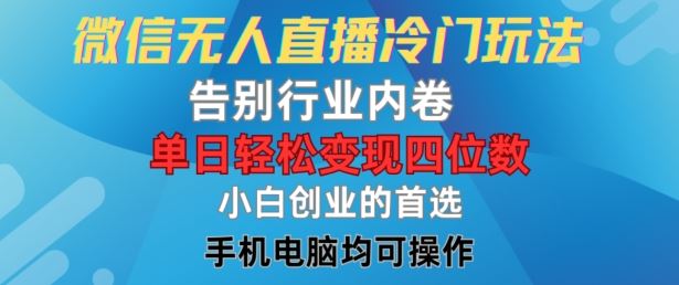 微信无人直播冷门玩法，告别行业内卷，单日轻松变现四位数，小白的创业首选【揭秘】-阳明聊项目