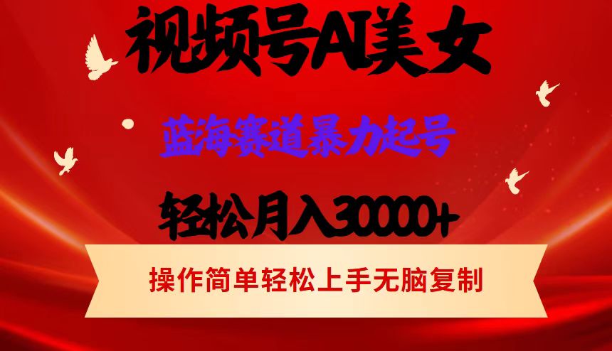 （12178期）视频号AI美女跳舞，轻松月入30000+，蓝海赛道，流量池巨大，起号猛，当…-阳明聊项目