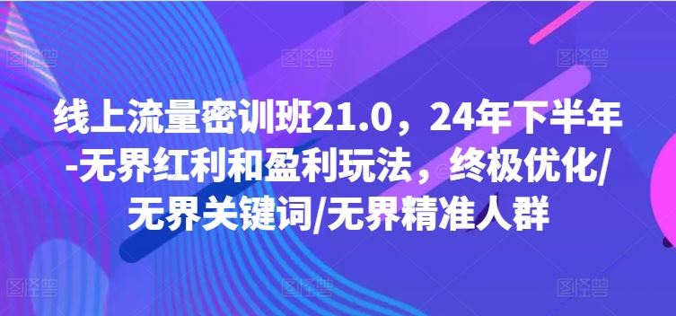 线上流量密训班21.0，24年下半年-无界红利和盈利玩法，终极优化/无界关键词/无界精准人群-阳明聊项目
