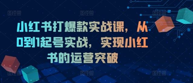 小红书打爆款实战课，从0到1起号实战，实现小红书的运营突破-阳明聊项目