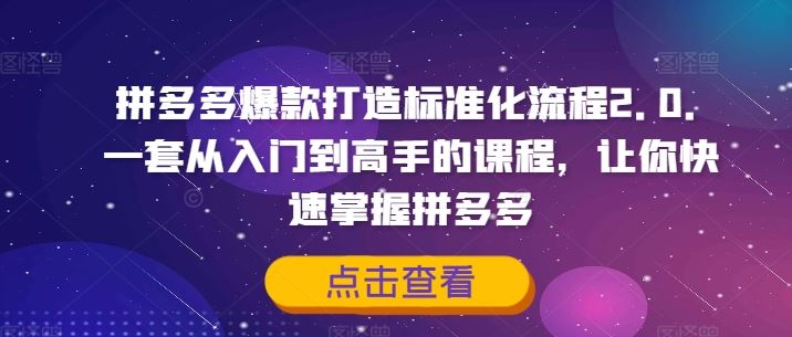 拼多多爆款打造标准化流程2.0，一套从入门到高手的课程，让你快速掌握拼多多-阳明聊项目