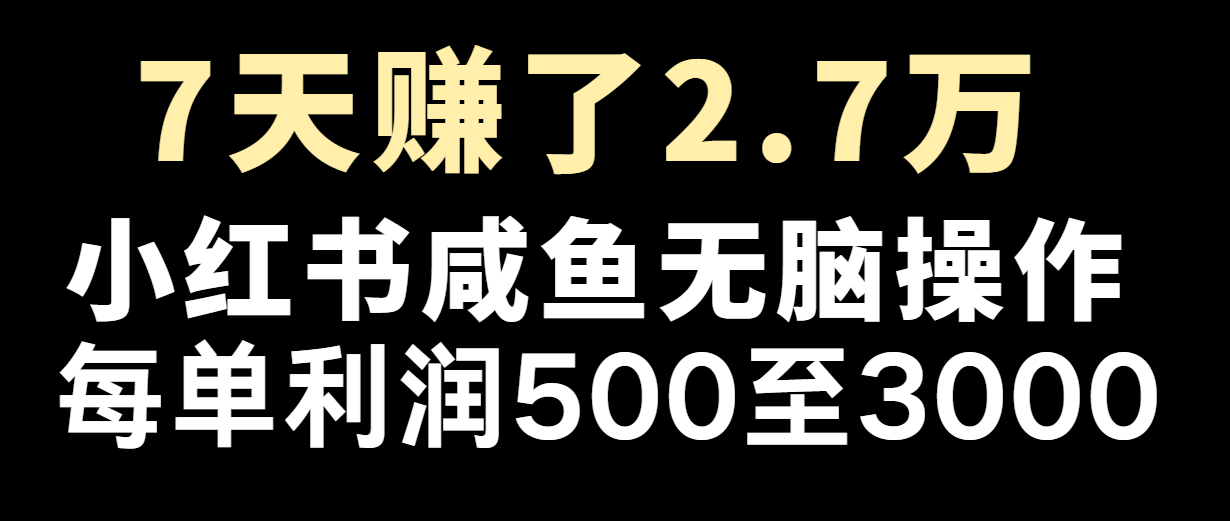 七天赚了2.7万！每单利润最少500+，轻松月入5万+小白有手就行-阳明聊项目