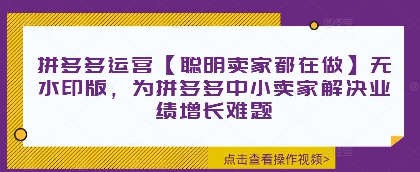 拼多多运营【聪明卖家都在做】无水印版，为拼多多中小卖家解决业绩增长难题-阳明聊项目