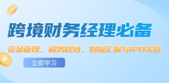 （12323期）跨境 财务经理必备：资金管理、税务规划、财报汇报与IPO实战-阳明聊项目