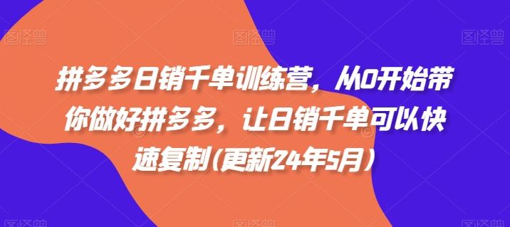 拼多多日销千单训练营，从0开始带你做好拼多多，让日销千单可以快速复制(更新24年8月)-阳明聊项目