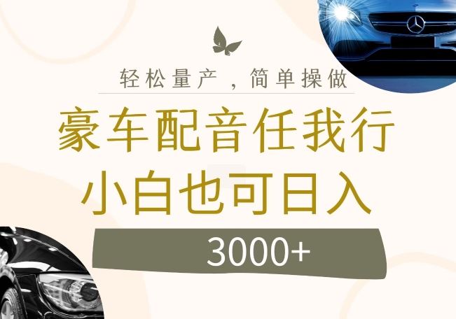 不为人知的暴力小项目，豪车配音，日入几张【揭秘】-阳明聊项目