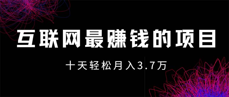 （12396期）互联网最赚钱的项目没有之一，轻松月入7万+，团队最新项目-阳明聊项目