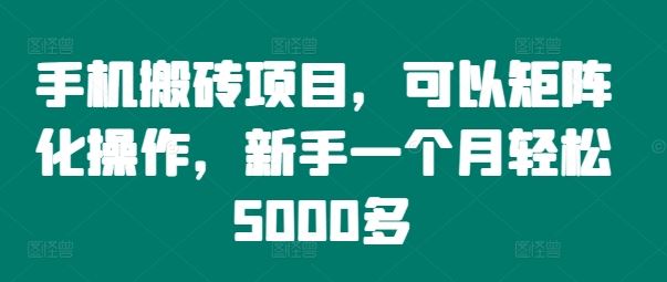 手机搬砖项目，可以矩阵化操作，新手一个月轻松5000多-阳明聊项目