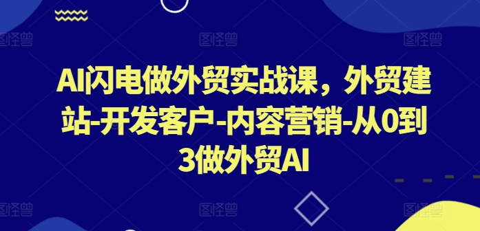 AI闪电做外贸实战课，​外贸建站-开发客户-内容营销-从0到3做外贸AI(更新)-阳明聊项目