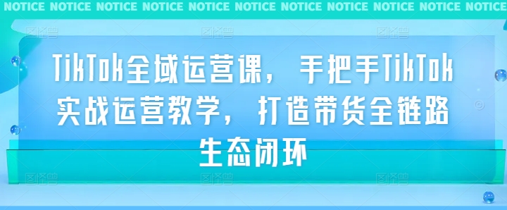 TikTok全域运营课，手把手TikTok实战运营教学，打造带货全链路生态闭环-阳明聊项目