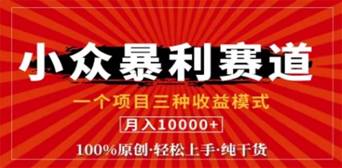 视频号最新爆火赛道，三种可收益模式，0粉新号条条原创条条热门 日入1000+-阳明聊项目