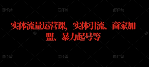 实体流量运营课，实体引流、商家加盟、暴力起号等-阳明聊项目