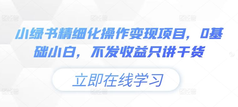 小绿书精细化操作变现项目，0基础小白，不发收益只讲干货-阳明聊项目