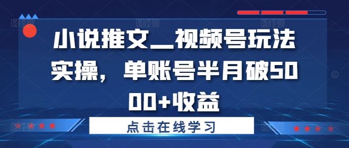 小说推文—视频号玩法实操，单账号半月破5000+收益-阳明聊项目