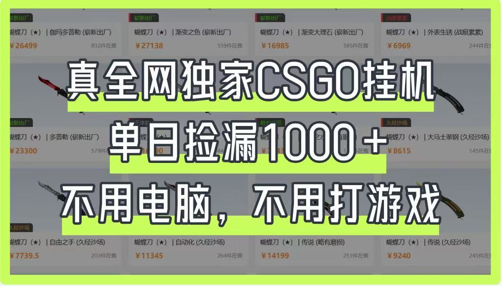 真全网独家CSGO挂机，单日捡漏1000+，不用电脑，不用养号-阳明聊项目
