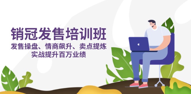 销冠 发售培训班：发售 操盘+情商 飙升+卖点 提炼，实战提升百万业绩-阳明聊项目