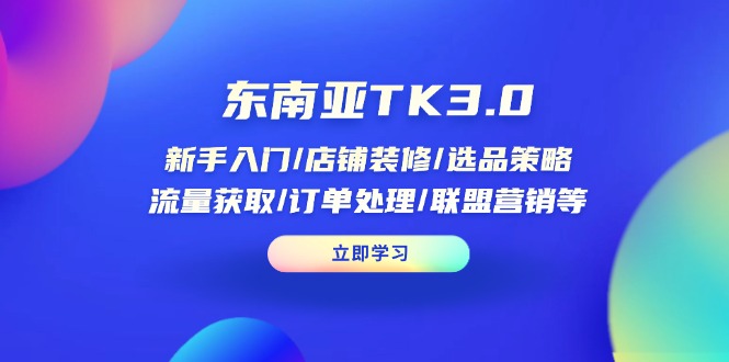 东南亚TK3.0：新手入门/店铺装修/选品策略/流量获取/订单处理/联盟营销等-阳明聊项目