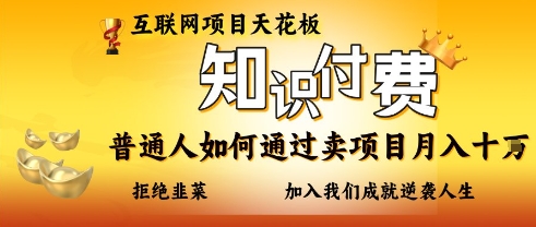 互联网项目天花板，知付付费项目，普通人如何通过卖项目月入十个，拒绝韭菜【揭秘】-阳明聊项目