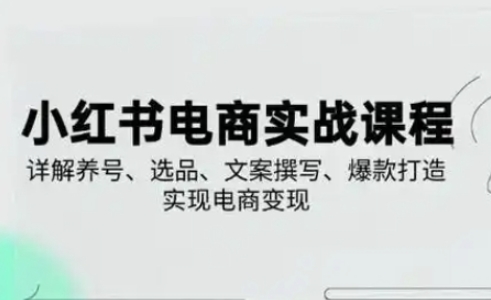 小红书从0-1实操课(2023-2025)，详解养号、选品、文案撰写、爆款打造实现电商变现-阳明聊项目
