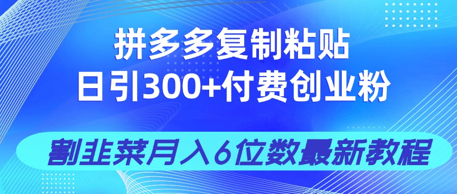 拼多多复制粘贴日引300+付费创业粉，割韭菜月入6位数最新教程！-阳明聊项目