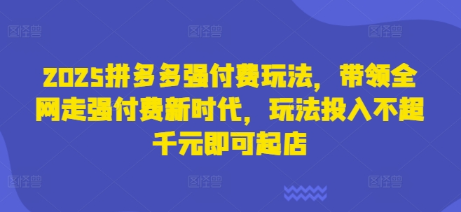 2025拼多多强付费玩法，带领全网走强付费新时代，玩法投入不超千元即可起店-阳明聊项目