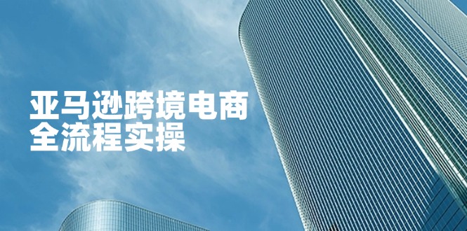 亚马逊跨境电商全流程实操，教你从零开始，掌握店铺运营与广告技巧-阳明聊项目