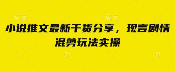 小说推文最新干货分享，现言剧情混剪玩法实操-阳明聊项目