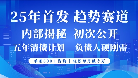 2025年首次公开，真正的事业型赛道，客咨不断，单月轻松破W-阳明聊项目