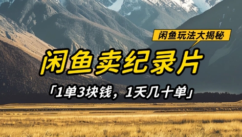 闲鱼卖纪录片1单3块钱，1天几十单，项目稳定有潜力-阳明聊项目