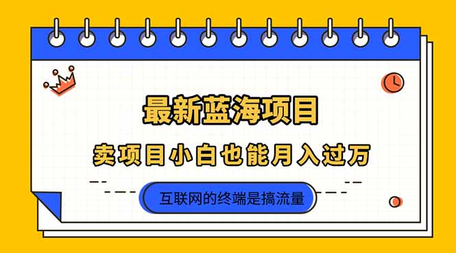 2025年最新蓝海项目，卖项目小白也能月入过万-阳明聊项目