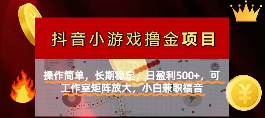 【抖音小游戏发行人计划项目】操作简单，长期稳定，日盈利500+，可工作…-阳明聊项目