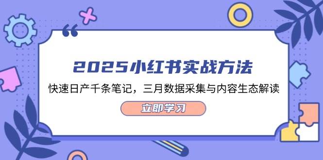 2025小红书实战方法，快速日产千条笔记，三月数据采集与内容生态解读-阳明聊项目