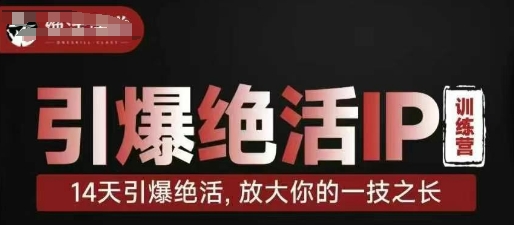 引爆绝活IP训练营，14天引爆绝活，放大你的一技之长-阳明聊项目