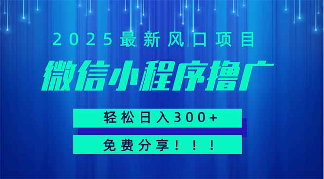 微信小程序撸广，最新风口项目，日入300+ 免费分享 可批量操作 小白可…-阳明聊项目