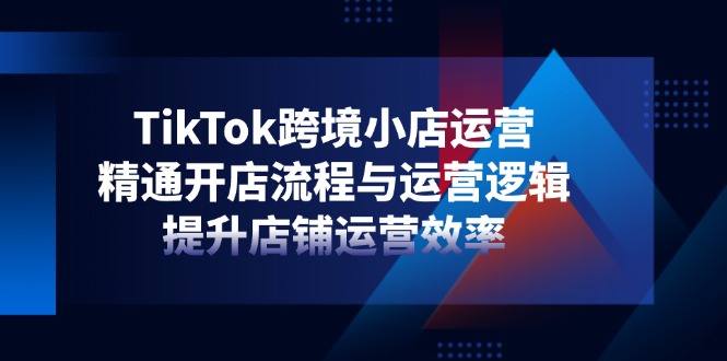 TikTok跨境小店运营，精通开店流程与运营逻辑，提升店铺运营效率-阳明聊项目