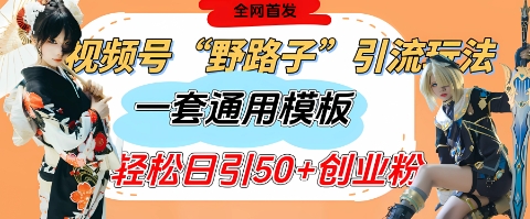 视频号“野路子”玩法，评论区疯狂截流，一套模板单日单号引流50+创业粉-阳明聊项目