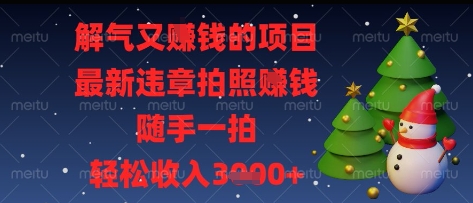 解气又挣钱的项目，最新违章拍照挣钱，随手一拍，轻松收入多张【揭秘】-阳明聊项目