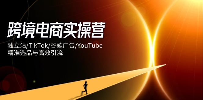 跨境电商实操营：独立站/TikTok/谷歌广告/YouTube，精准选品与高效引流-阳明聊项目