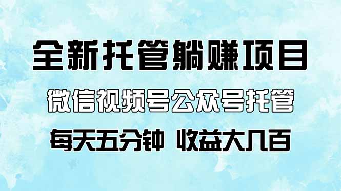 全新托管躺赚项目，微信视频号公众号托管代运营，每天五分钟，收益大几百-阳明聊项目