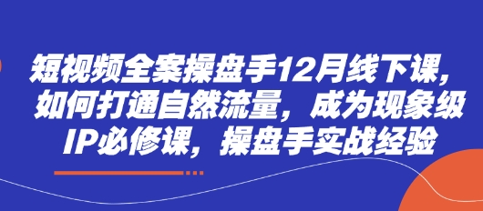 短视频全案操盘手12月线下课，如何打通自然流量，成为现象级IP必修课，操盘手实战经验-阳明聊项目