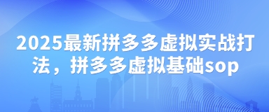 2025最新拼多多虚拟实战打法，拼多多虚拟基础sop-阳明聊项目
