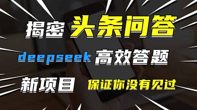 头条问答，刚出的新玩法！保证你没见过！用DeepSeek去高效答题，一个账…-阳明聊项目