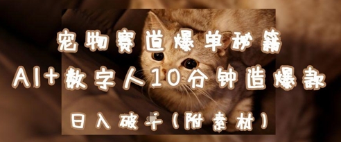 宠物赛道爆单秘籍：AI+数字人10分钟造爆款，日入1k-阳明聊项目