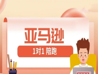 亚马逊1对1陪跑课(FBA/FBM精铺)跨境亚马逊教程-阳明聊项目