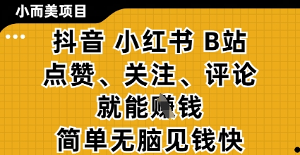 小而美的项目，抖音小红书B站视频点赞、关注、评论就能挣钱，简单无脑立见收益，妥妥的零撸项目【揭秘】-阳明聊项目