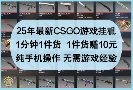25年最新CSGO游戏挂G，1分钟1件货，1件货挣10元，纯手机操作，无需游戏经验【揭秘】-阳明聊项目