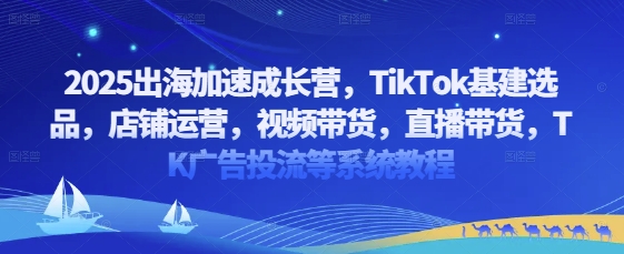 2025出海加速成长营，TikTok基建选品，店铺运营，视频带货，直播带货，TK广告投流等系统教程-阳明聊项目